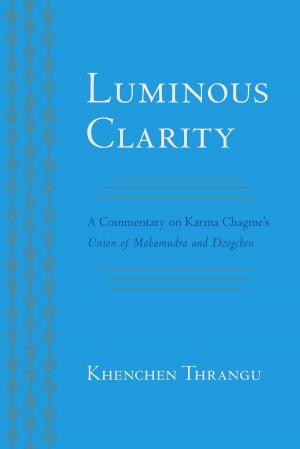 Cover of the book Luminous Clarity by Joseph Goldstein