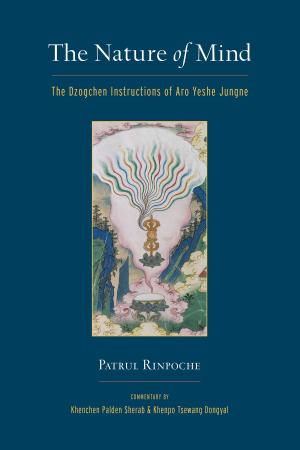 Cover of the book The Nature of Mind by Khenpo Karthar