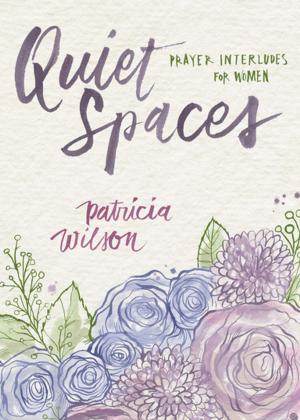 Book cover of Quiet Spaces