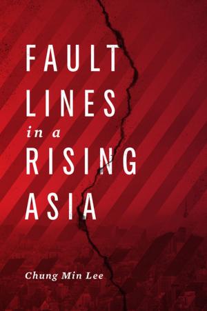 Cover of the book Fault Lines in a Rising Asia by Stephen Hess