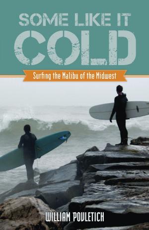 Cover of the book Some Like It Cold by Richard H. Zeitlin