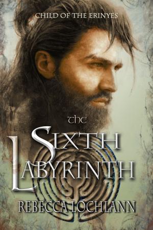 Book cover of The Sixth Labyrinth