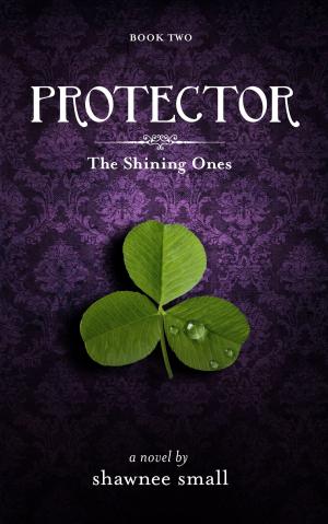 Cover of the book Protector by Commander Mark Bowlin USN (Ret.)