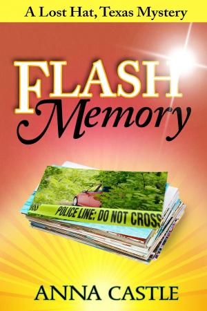 Book cover of Flash Memory