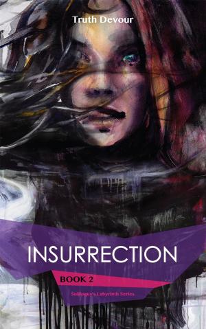Cover of the book Insurrection - Book 2 - Soliloquy's Labyrinth Series by Anna Comerford