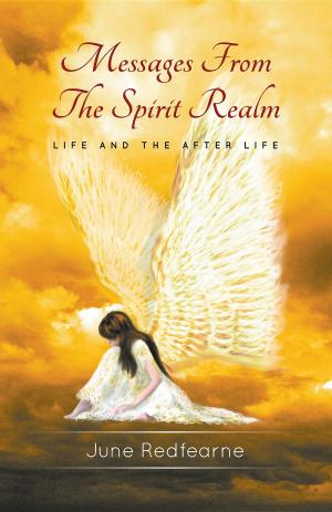 Cover of the book Messages From The Spirit Realm by Rebecca Brents