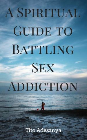 Book cover of A Spiritual Guide to Battling Sex Addiction