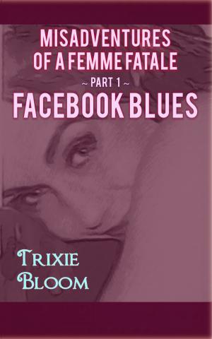bigCover of the book Facebook Blues by 