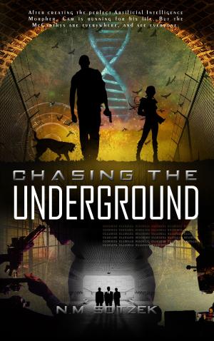 Cover of the book Chasing the Underground by J.L. V'Tar