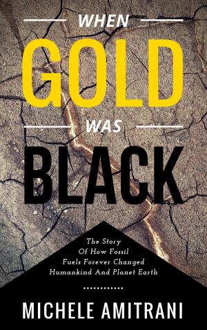 bigCover of the book When Gold was Black by 