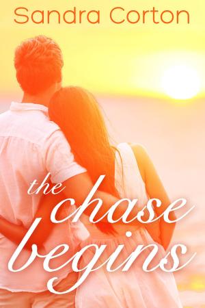 Cover of the book The Chase Begins by Cynthia Knoble