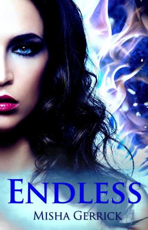 Cover of Endless by Misha Gerrick, Five Muses Press