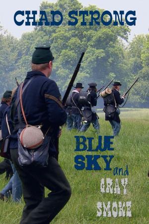 Book cover of Blue Sky and Gray Smoke
