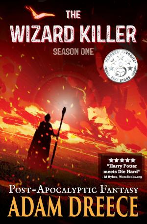 Book cover of The Wizard Killer - Season One