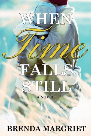 Cover of the book When Time Falls Still by Annelies George