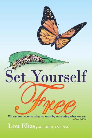 Cover of the book Set Yourself Free by Harris Rosen