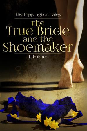 Cover of the book The True Bride and the Shoemaker by Blair MacGregor