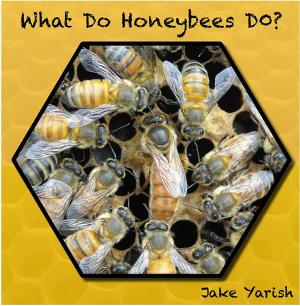 Cover of the book What Do Honeybees Do? by Tonya Holly