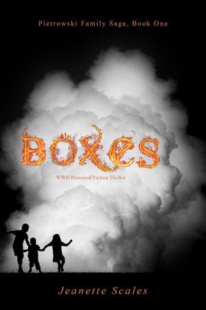 Cover of the book Boxes by Mark Sublette