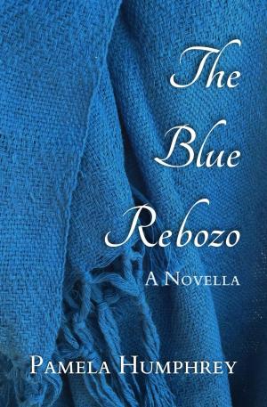Book cover of The Blue Rebozo: A Novella
