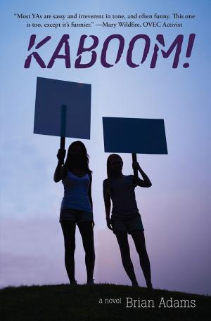 Cover of the book KABOOM by Claire Willis, Marnie Crawford Samuelson