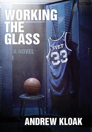 Cover of the book Working the Glass by Alyson Noël