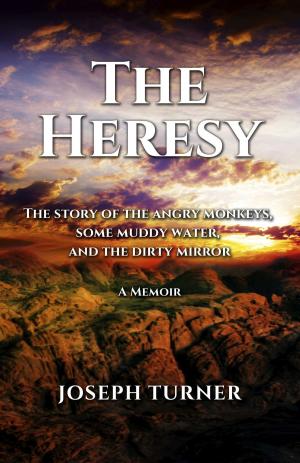 Book cover of The Heresy The Story of the Angry Monkeys Some Muddy Water and the Dirty Mirror