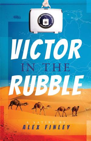 Cover of the book Victor in the Rubble by ERNEST EJIKE