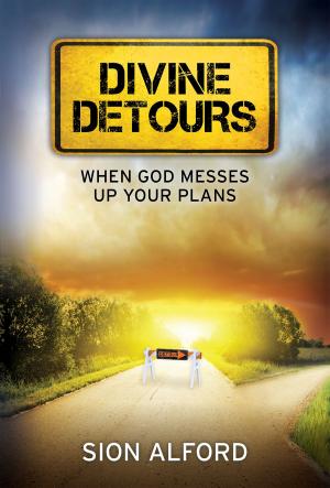 Cover of the book Divine Detours by Katy Jay