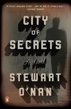 bigCover of the book City of Secrets by 