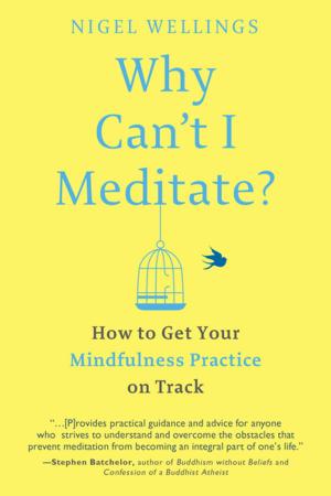 Cover of the book Why Can't I Meditate? by Jacob Needleman
