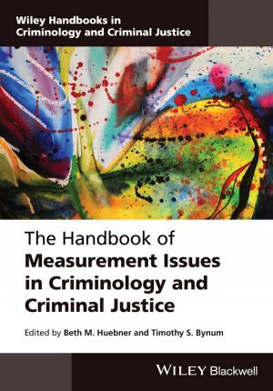 Cover of the book The Handbook of Measurement Issues in Criminology and Criminal Justice by John F. Kros, David A. Rosenthal