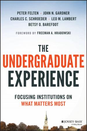 Cover of the book The Undergraduate Experience by Fiona J. Rowe