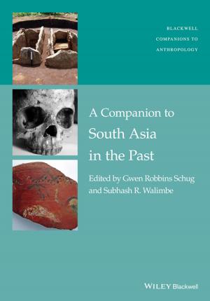Cover of the book A Companion to South Asia in the Past by Hilary Orpet, Perdi Welsh