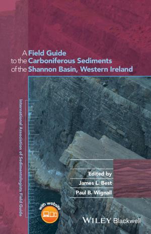 Cover of the book A Field Guide to the Carboniferous Sediments of the Shannon Basin, Western Ireland by David Morley
