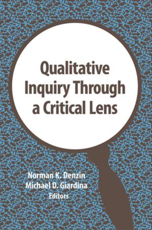 Cover of the book Qualitative Inquiry Through a Critical Lens by Willem van Winden, Leo van den Berg