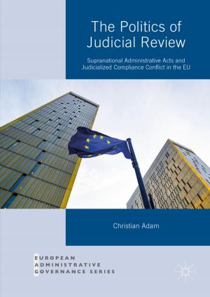 Cover of the book The Politics of Judicial Review by Claudia Tazreiter, Leanne Weber, Sharon Pickering, Marie Segrave, Helen McKernan