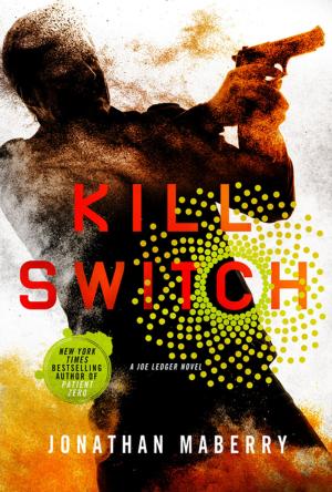 Cover of the book Kill Switch by Marty Beckerman