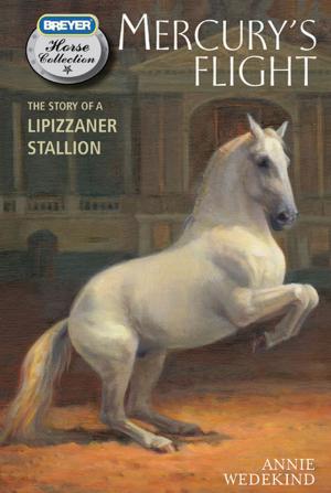 Cover of the book Mercury's Flight by Judy Ferguson