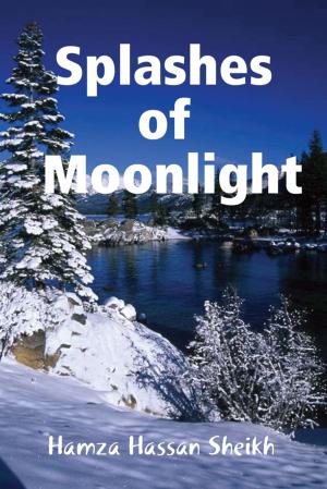 Cover of the book Splashes of Moonlight by PATRICK KY