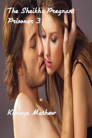Cover of the book The Sheikh's Pregnant Prisoner 3 by Kimaya Mathew