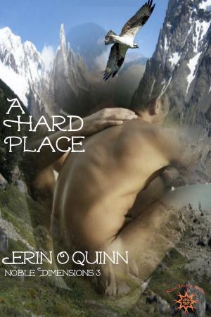 Cover of the book A Hard Place (Noble Dimensions 3 Novella) by Erin O'Quinn