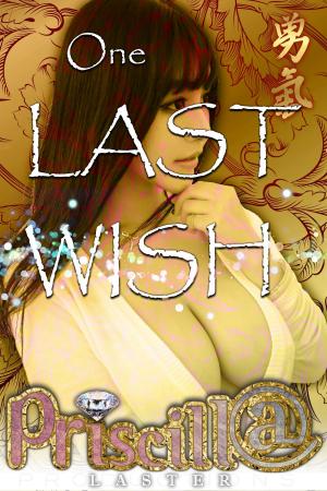 Cover of the book One Last Wish by Priscilla Laster