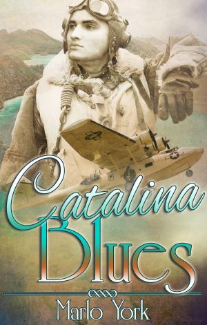 Cover of the book Catalina Blues: A Love is an Open Road Story by Rose Gordon