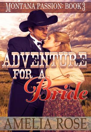 Cover of the book Adventure For A Bride (Montana Passion, Book 3) by Dwight Chung