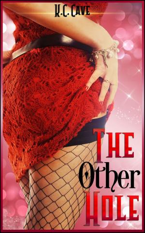 Cover of the book The Other Hole by Suzie McLean