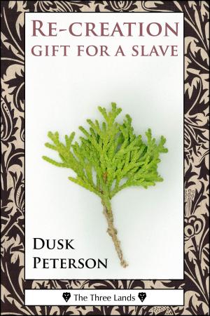 Cover of the book Re-creation: gift for a slave (The Three Lands) by Dusk Peterson