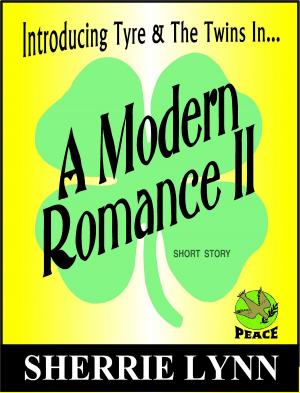 Cover of the book A Modern Romance 2 by Stan Manzini, Tandi Manzini