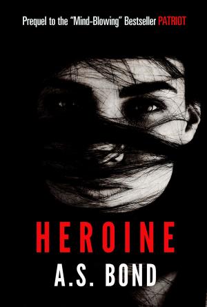 Cover of the book Heroine (A Brooke Kinley Adventures Novella) by J.C. Nova