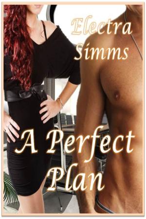 Cover of the book A Perfect Plan by April Alisa Marquette